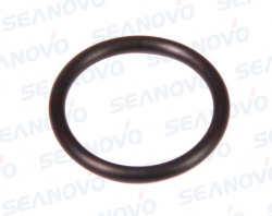 Уплотнительное кольцо O-Ring  24.5*3 F60-01.02.30.03